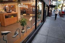 Allbirds AI Pivot Sends Stock Soaring 400 Percent