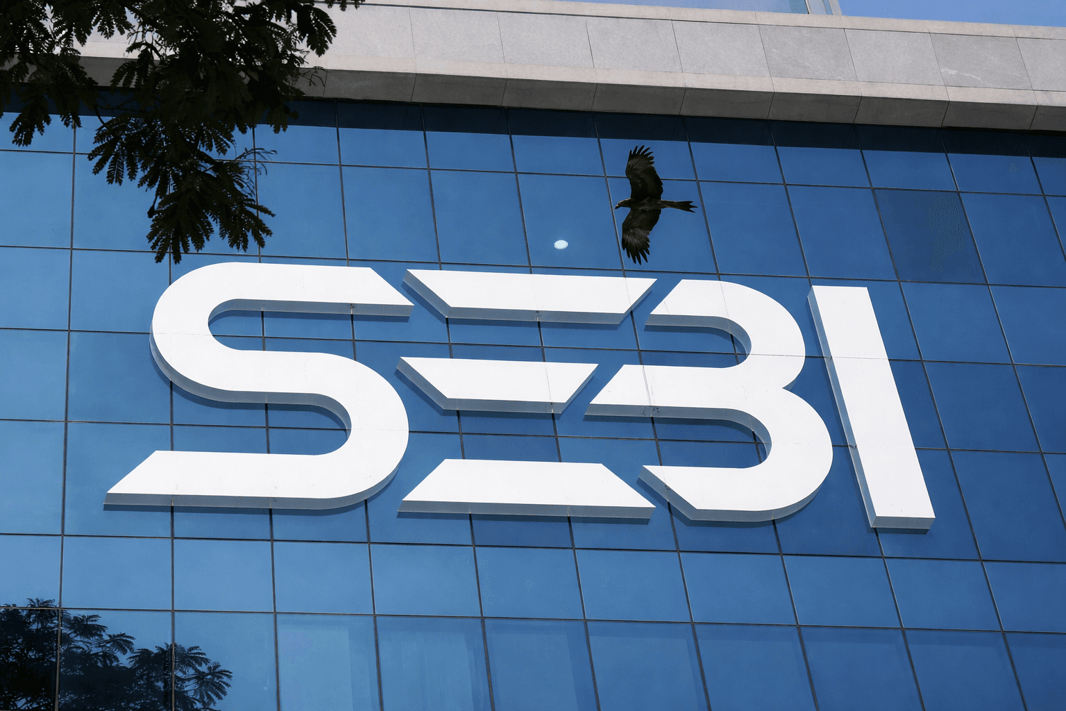 What Triggered SEBI’s Crackdown on RRP Semiconductor After a 725x Surge?