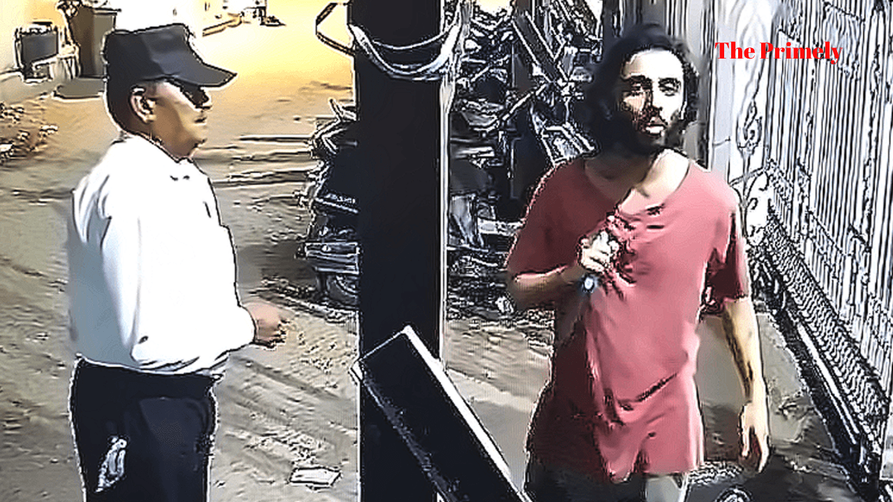 Internet-Radicalised ‘Lone Wolf’ Held in Guard Stabbing Case