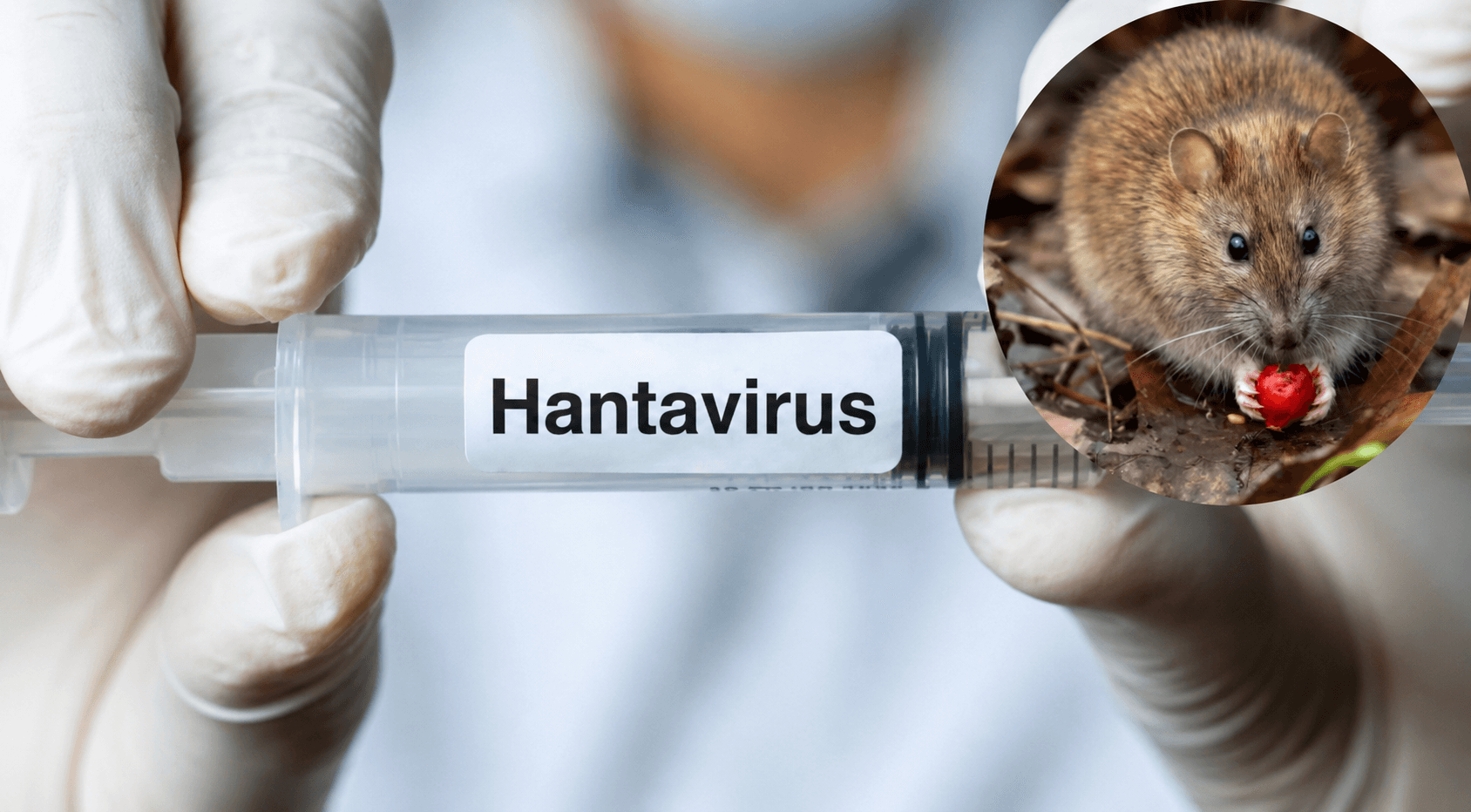 Hantavirus latest: More cases confirmed on cruise ship - WHO says 'not another COVID-19'