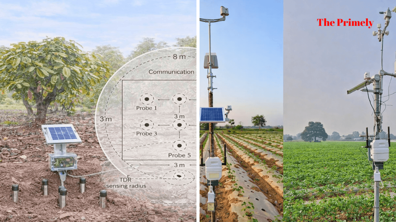 AI Predicts Soil Moisture with Precision